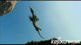 龙事件图片,揭秘神秘龙事件背后的传奇故事